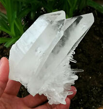 556g Amazing Natural Water Clear Cluster Growth On Double Terminated Quartz   picture