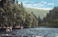 Fishing Rogue River Oregon salmon steelhead Angler's Paradise Vtg Postcard B47 picture