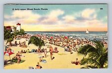 Miami Beach FL-Florida, A Daily Scene On Beach, Vintage c1950 Postcard picture