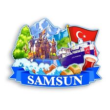 Samsun Turkey Refrigerator magnet 3D travel souvenirs wood craft gifts picture