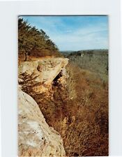 Postcard Yellow Rock Monterey Tennessee USA picture
