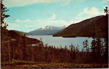 Muncho Lake Alaska Hwy Canada Lake AK Mountain Postcard PM WOB Note VTG 7c Stamp picture