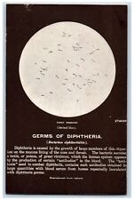 c1950's Germs Of Diphtheria Microscopic Plants Through Lenses Bacteria Postcard picture