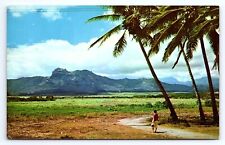 Postcard Sleeping Giant Kapaa Kauai Mountain Formation Hawaii HI picture