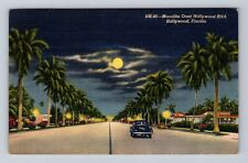 Hollywood FL-Florida, Moonlight over Hollywood Blvd, Antique Vintage Postcard picture