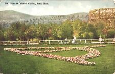 BUTTE, MT, COLUMBIA GARDENS antique picture postcard MONTANA c1910 picture