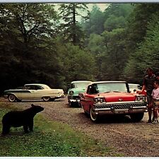 1950s NC TN Smoky Mountain Black Bear Ford Galaxie Chevrolet Chevy Buick PC A265 picture