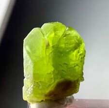 50 Cts Terminated Peridot Crystal From SkarduPakistan picture