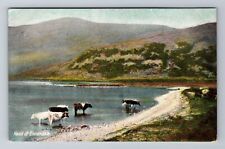 Ennderdale-England, Lake Area, Antique, Vintage Souvenir Postcard picture