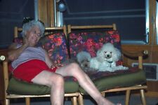 1977 Older Woman Sitting on Couch with Poodle Dogs Vintage 35mm Slide picture