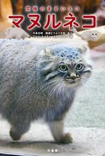 Pallas's cat Otocolobus manul Photo Book 2019 Nature & Science picture