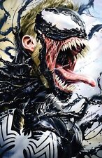 VENOM: SEPARATION ANXIETY #1 (2024) Mike Mayhew Studio Variant Cover B Raw picture