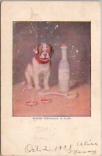 1908 Dog Comic Postcard 