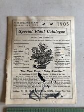 Genuine V H Hallock & Son 1905 Special Plant Catalog with Great Illustrations picture