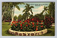 Hollywood FL-Florida, Garden Spot on the Circle, Antique Vintage Postcard picture