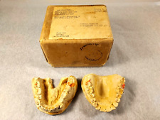 WW2 Army War Department 2pc Plaster Cast Dental Impressions in Original Box picture