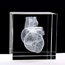 3D Human Heart Anatomical Model Statue Paperweight(Laser Etched) in Crystal G... picture
