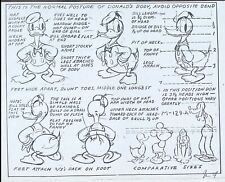 DONALD DUCK Disney ANIMATION Model Sheet PHOTOCOPY Donalds Body Comparative Size picture