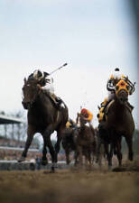 Foolish Pleasure 1975 Kentucky Derby Win 2 Old Horse Racing Photo picture