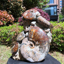 16.74KG Huge Natural Beautiful ammonite fossil conch Crystal specimen heals 1227 picture