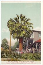 Monterey California c1910 Palms at Paraiso Hot Springs Health Resort Postcard picture