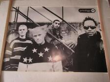 Prodigy Poster *Picture frame is not included. picture