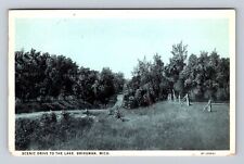 Bridgman MI-Michigan, Scenic Drive To The Lake, Antique Vintage c1926 Postcard picture