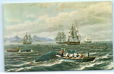 Whaling Museum New Bedford MA Sperm Whales Hawaii Vintage Postcard E75 picture