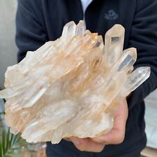 2.4lb Large Natural White Clear Quartz Crystal Cluster Raw Healing Specimen picture