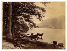 England, Lake District, Cumbria Vintage Print, Albumin Print 16.5x21.5  picture