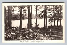 Beaver Brook NY-New York, Silver Lake, Antique, Vintage Postcard picture