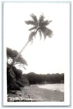 1946 Palm Tree Manzanilla Beach View Trinidad RPPC Photo Posted Postcard picture