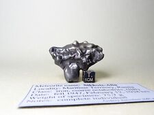 meteorite Sikhote-Alin, Russia, complete regmaglypted individual 75,7 g picture