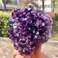 1.18LB Very Rare Natural Amethyst Flower Cluster Specimen Healing picture
