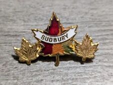 City Of Sudbury Ontario Canada 3 Fall-Colored Maple Leaves Souvenir Lapel Pin picture