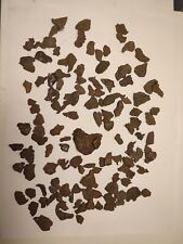 Sikhote Alin meteorite 1 Kilo Lot 2-83gr picture