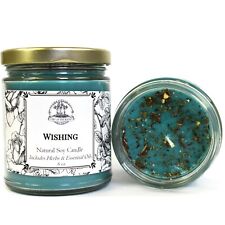 Wishing Soy Spell Candle Blessings Wishes Desires Goals Hoodoo Wiccan Pagan  picture