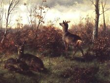 Oil painting Roe-Deer-Rosa-Bonheur-oil-painting landscape deerin forest field picture